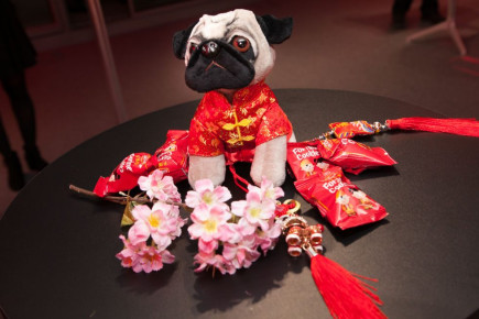 Hong Kong Tourism Board Chinese New Year Celebration