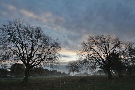 Peckham Rye Park, November 2019