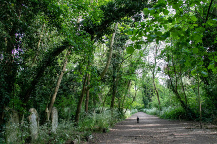 Nunhead Cemetery