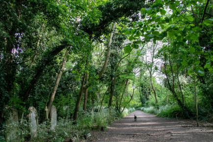 Nunhead Cemetery