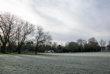 Cold January Morning on Peckham Rye