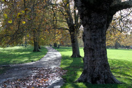 Peckham Rye Park November 2023