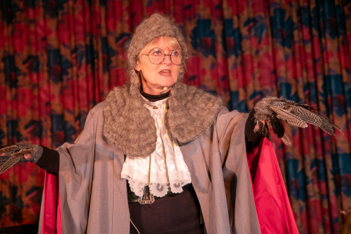 241219-Toad-of-Toad-Hall-026