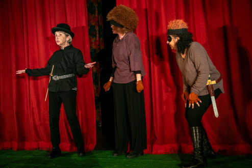 241219-Toad-of-Toad-Hall-047